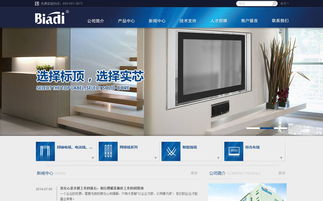 沙漠風(fēng)網(wǎng)站建設(shè)公司 標頂官方網(wǎng)站設(shè)計制作成功案例